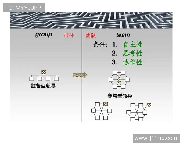 全国锦标赛分析：北京篮球队展现卓越团队协作精神与战术配合