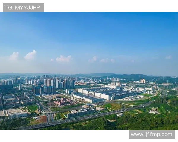 深圳乒乓球队的崛起之路与成长历程全景揭秘