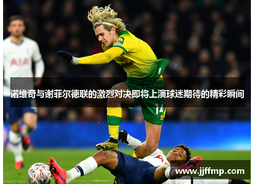 诺维奇与谢菲尔德联的激烈对决即将上演球迷期待的精彩瞬间